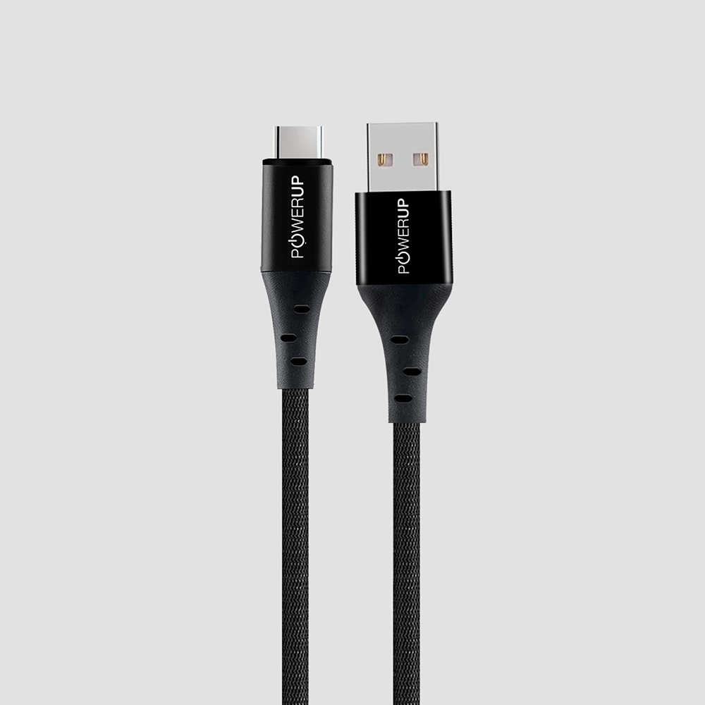 POWERUP 65W Type C Cable 1.5 Mtr